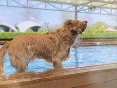 -太阳岛度假酒店