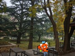 -国家植物园南园