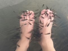 -溧阳天目湖天沐温泉