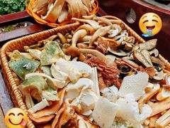 -山菌美食苑(振兴路店)