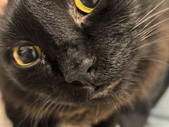 -佰搭果·广式茶餐厅(西华路店)