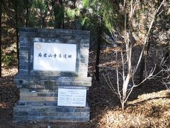 -府君山公园