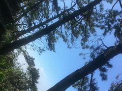 -罗田薄刀峰风景区