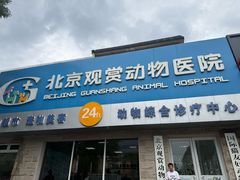 -北京观赏动物医院·24小时大型综合·猫专科·异宠专科