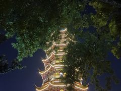 -红梅公园