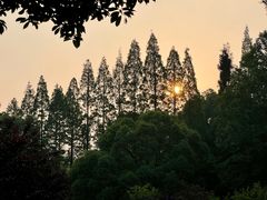 -贵阳市花溪国家城市湿地公园