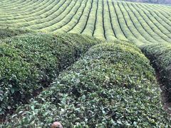 -敬亭山风景名胜区