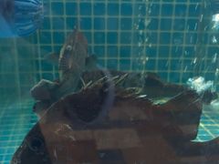-妈妈菜舟山海鲜(定海古城店)
