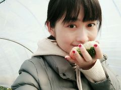 -喜杨洋草莓采摘园