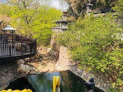 -老张烤羊(王哥庄店)