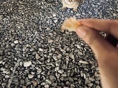 -DGE季风钓虾营地·团建·聚会