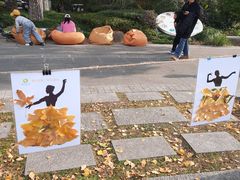 -昆山城市生态森林公园