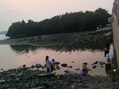 -宝安西湾红树林湿地公园