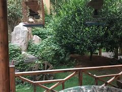 -忆江南·临江鱼馆