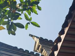 -天一阁博物院