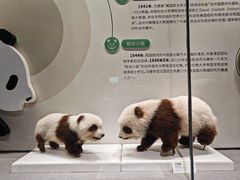 -四川大学博物馆