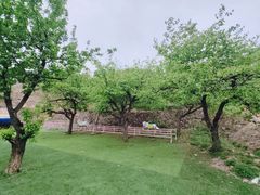 -南山特攻真人CS户外露营轰趴拓展基地