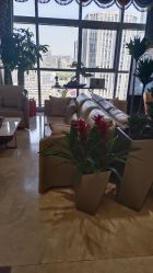 -北京米扬丽格医疗美容·联合丽格鼻整形中心