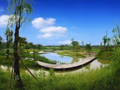 -白鹭湾湿地公园