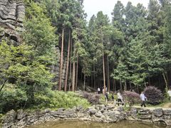 -梭布垭石林景区