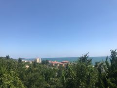 -东方熊牧场