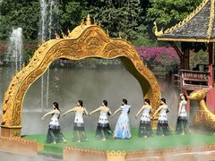-西双版纳原始森林公园