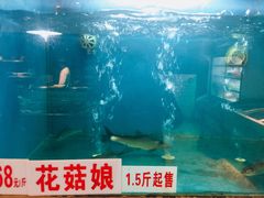 -楚鱼王·河鲜·湖北菜(华农店)