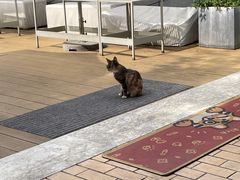 -UNI UNI(环亚凯瑟琳店)