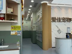 -爱佳宠物中心医院24H·CT·骨外科·猫专科(瑶海万达店)