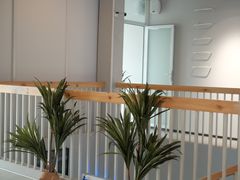 -Cetus coffee鲸鱼座咖啡·拼豆(二仙桥公园店)
