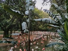 -广州长隆野生动物世界