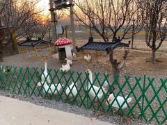 -1982农场
