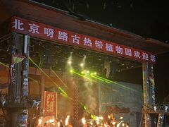 -呀路古热带植物园