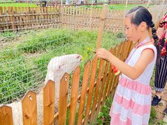 -高荡千年布依古寨旅游景区