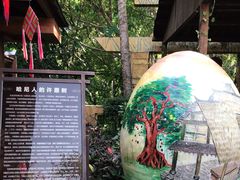-西双版纳原始森林公园