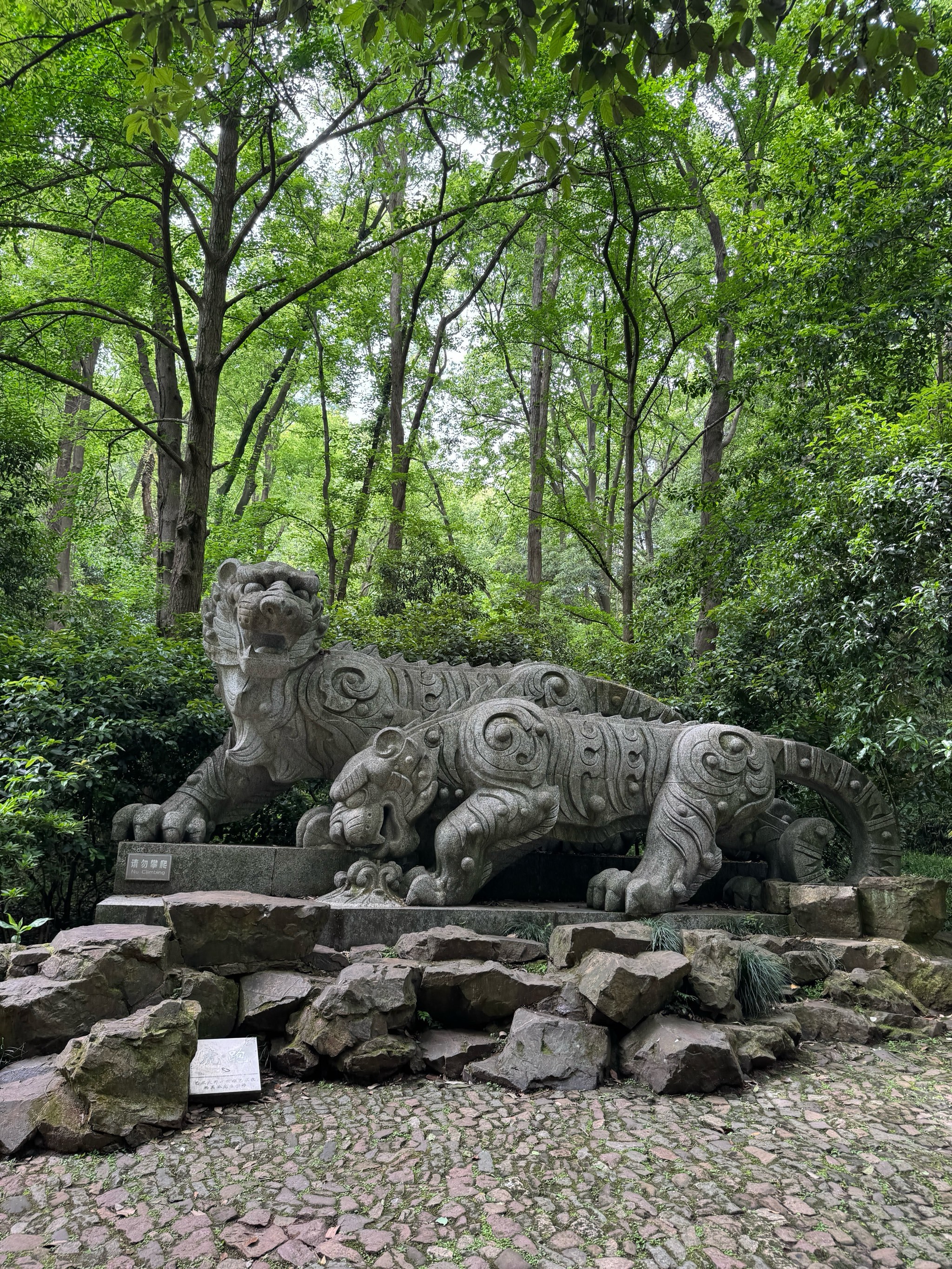 来杭州虎跑公园