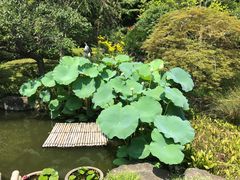 -灌篮高手动画打卡地