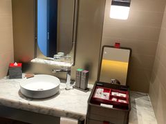 -新加坡瑞士史丹福酒店