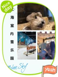 -Mr·Kuma酷么先生雪之乐园