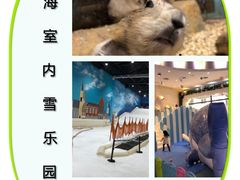 -Mr·Kuma酷么先生雪之乐园