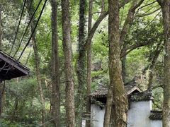-富春桃源风景区