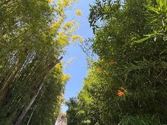 -昆明洲际酒店
