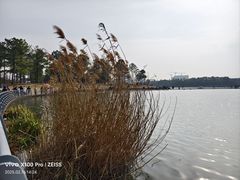 -美兰湖景区