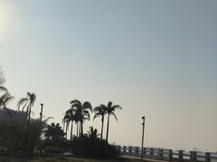 -外沙疍家棚酒楼
