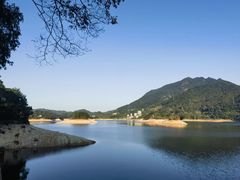 -广州市流溪河国家森林公园