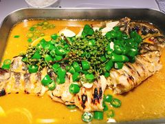 -鱼酷活鱼烤鱼(沈阳大悦城店)