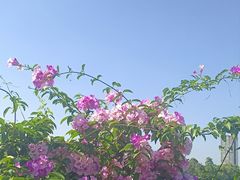 -南宁南湖公园