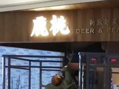 门面-大树餐厅(益田假日店)