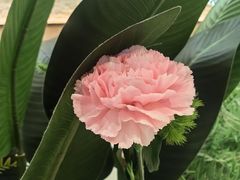 -芭札·Thai泰国餐厅(同和金铂天地店)