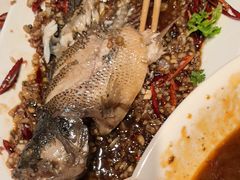 -杨氏青龙虾·羊蝎子(托乐嘉店)